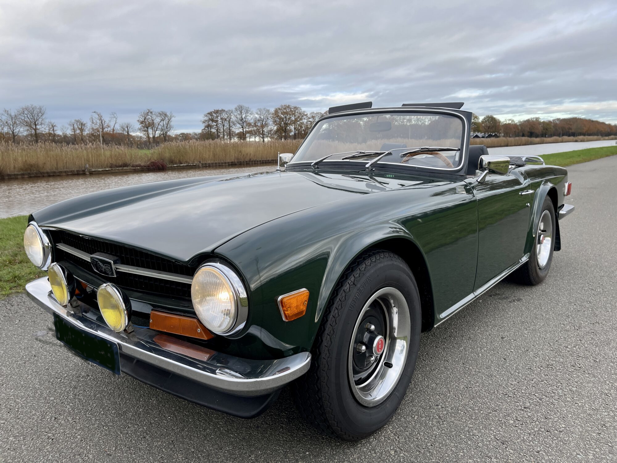TR 6 (PI)