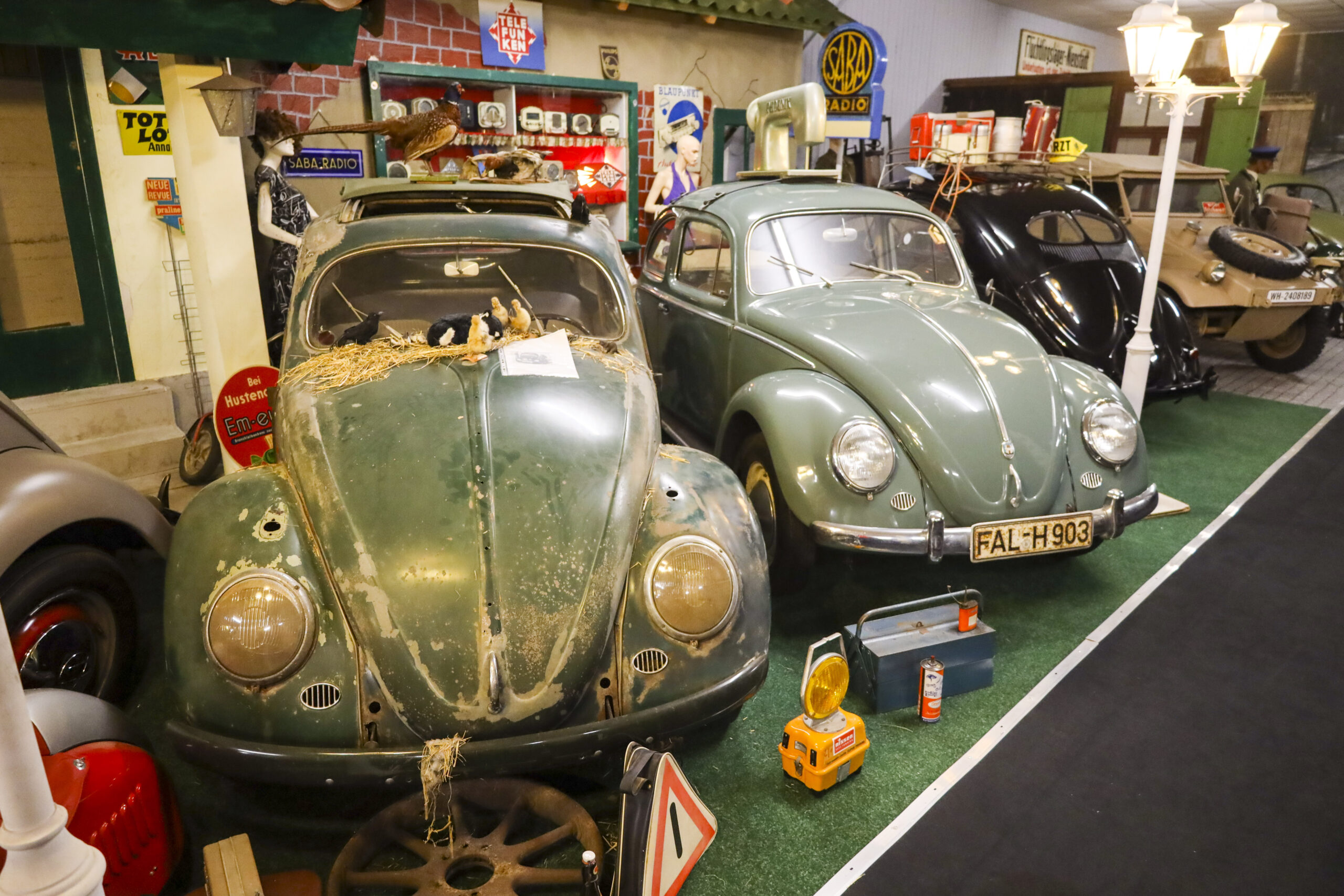 20240622_0132_www-ritterimages-com