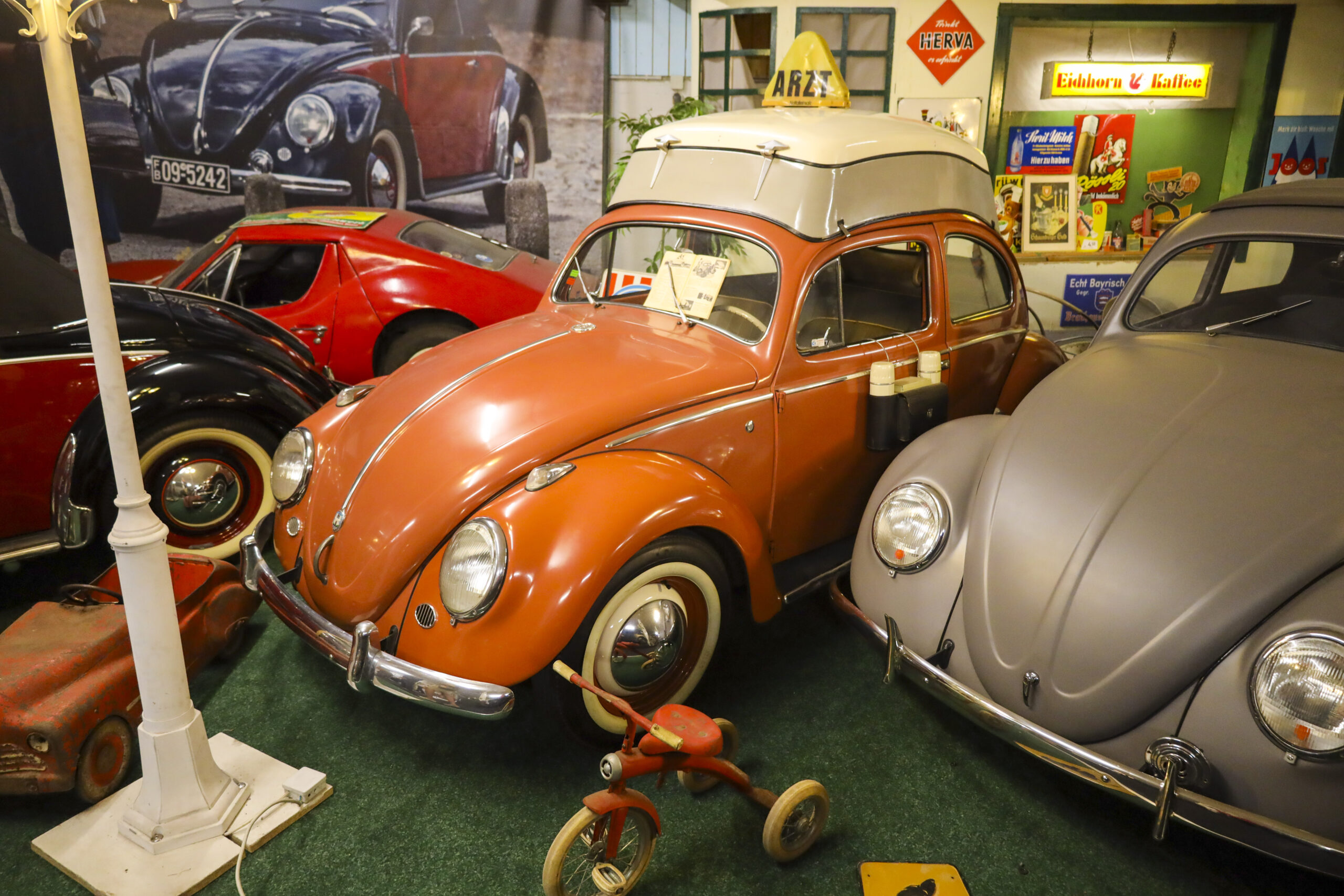 20240622_0133_www-ritterimages-com