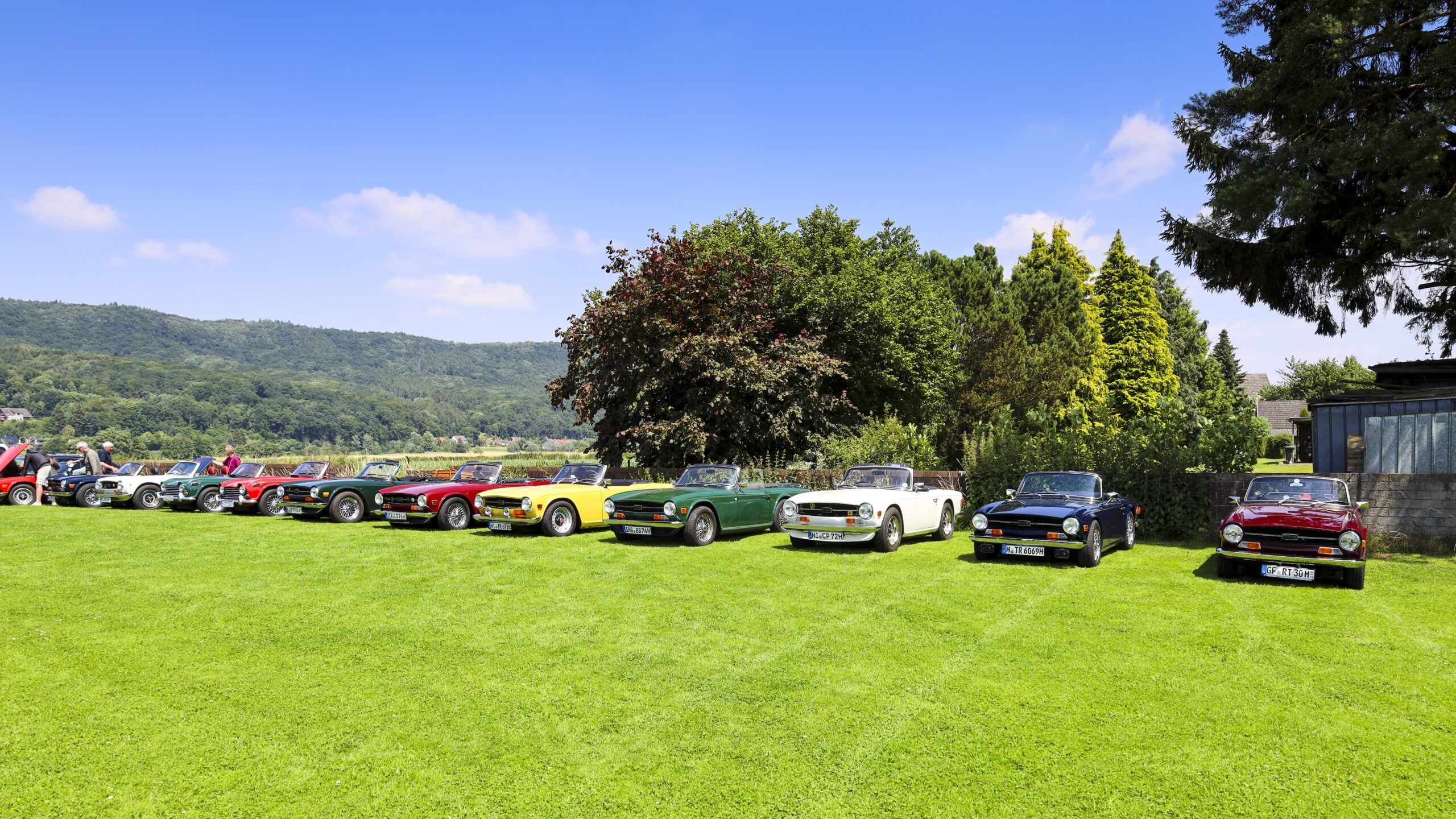 20240622_0170_www-ritterimages-com