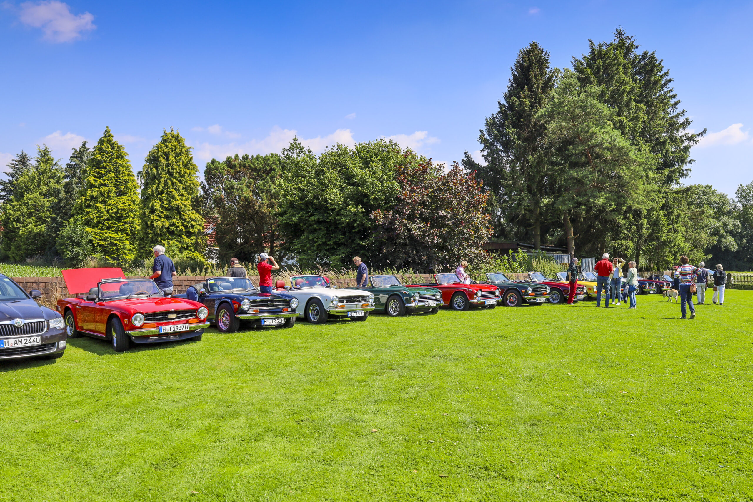 20240622_0204_www-ritterimages-com