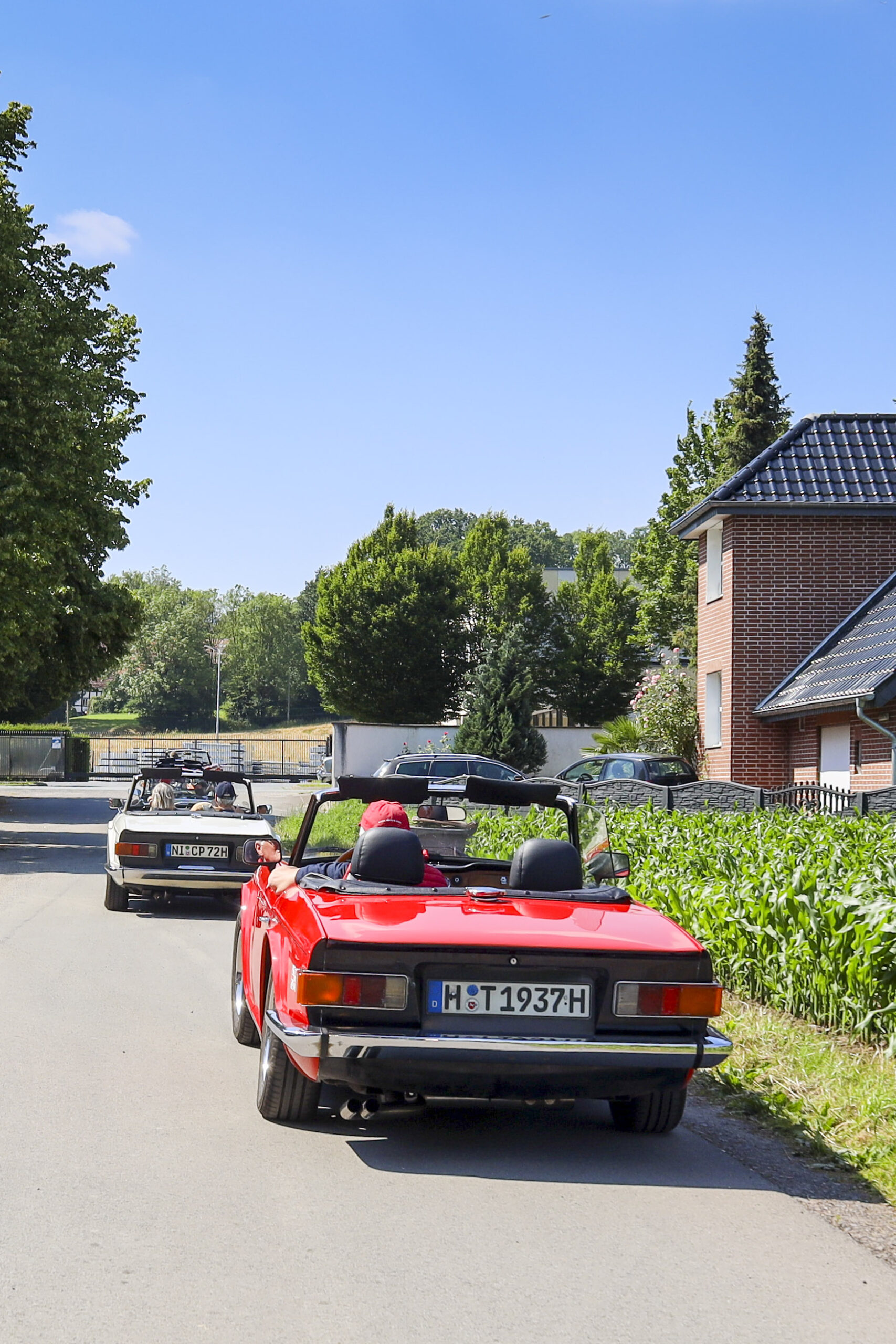 20240622_0205_www-ritterimages-com