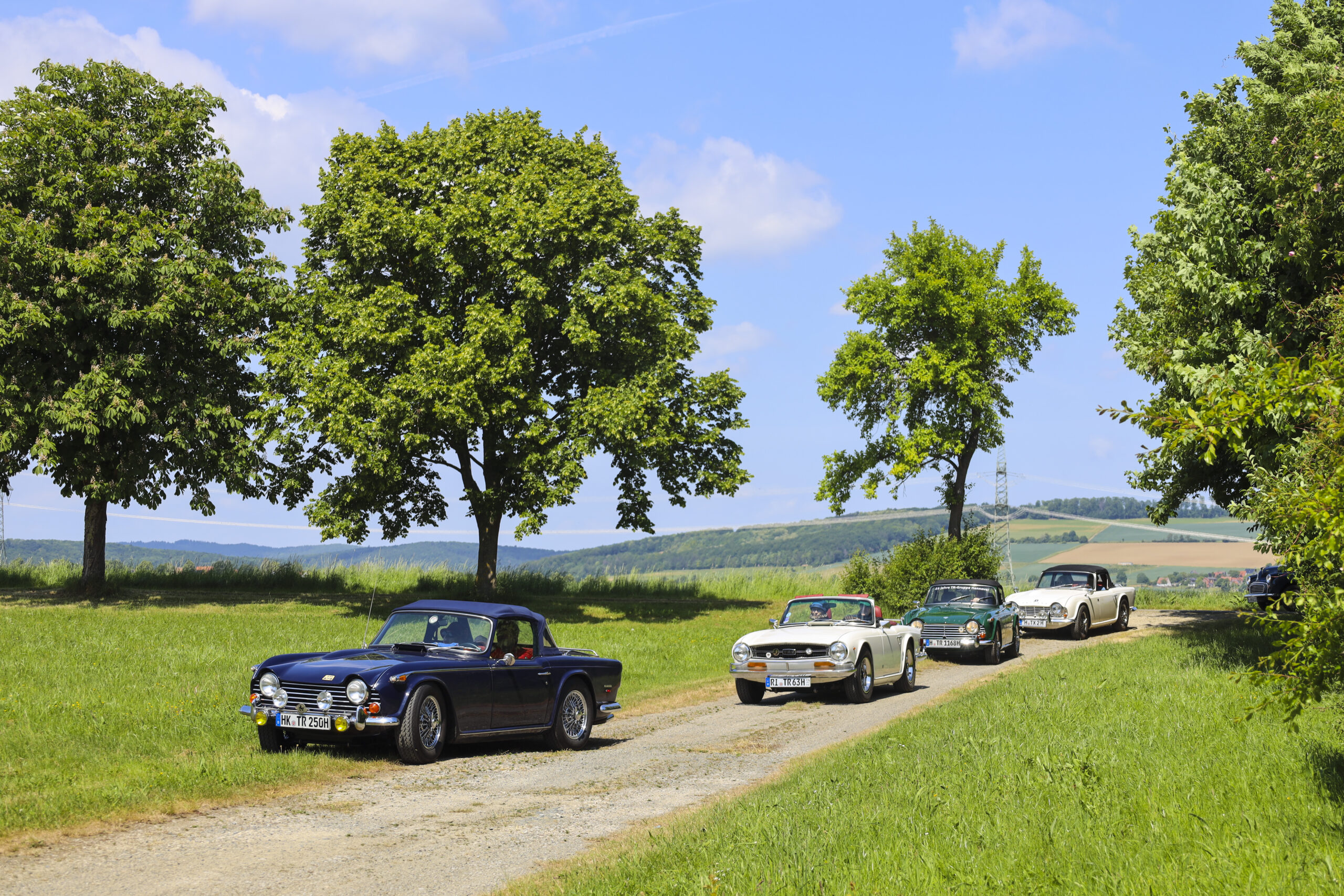 20250524_0499_www-ritterimages-com