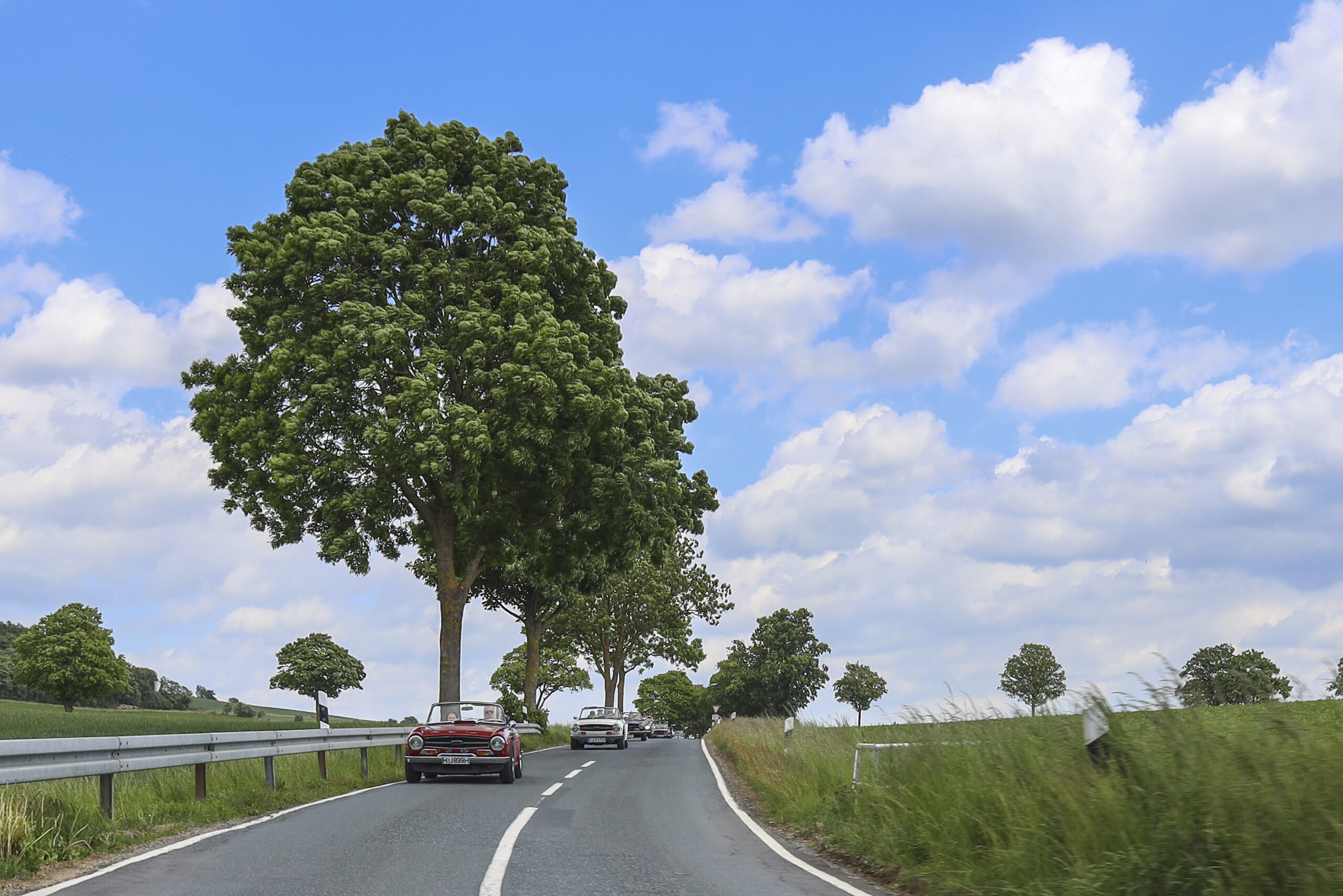 20250524_0705_www-ritterimages-com