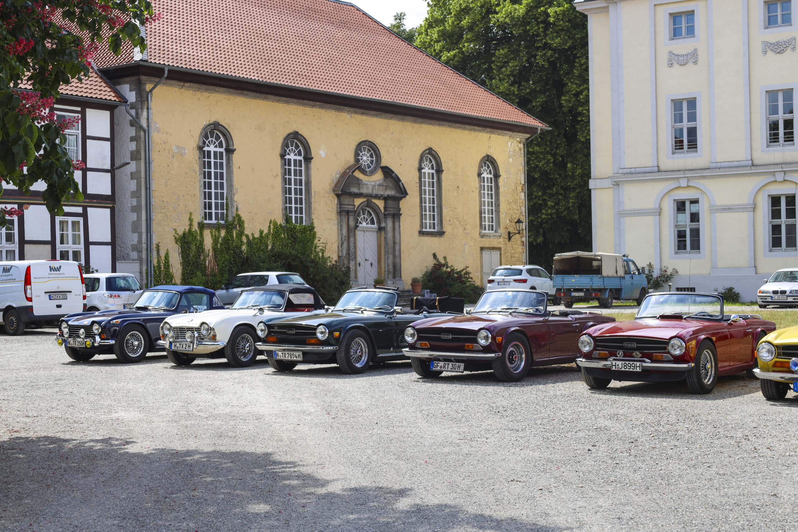 20250524_0729_www-ritterimages-com