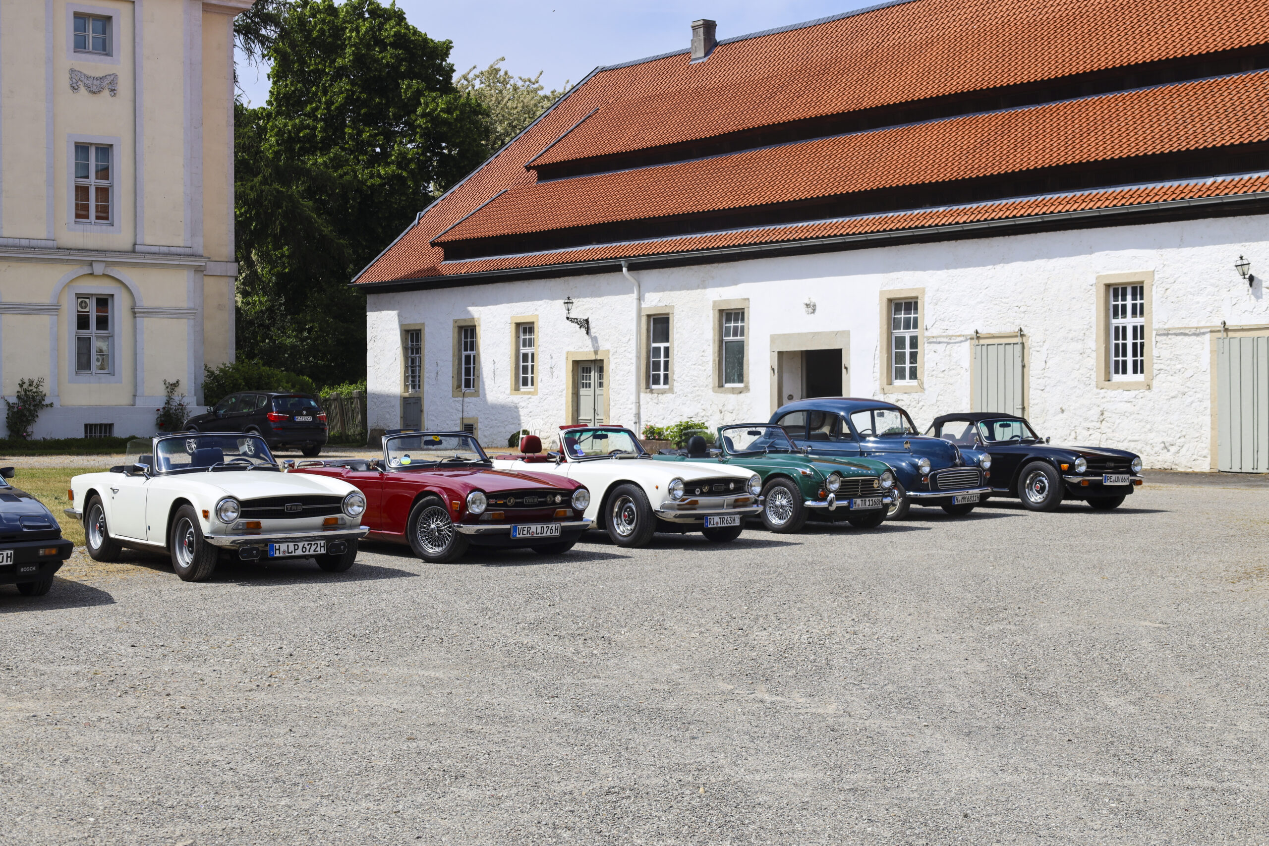 20250524_0730_www-ritterimages-com