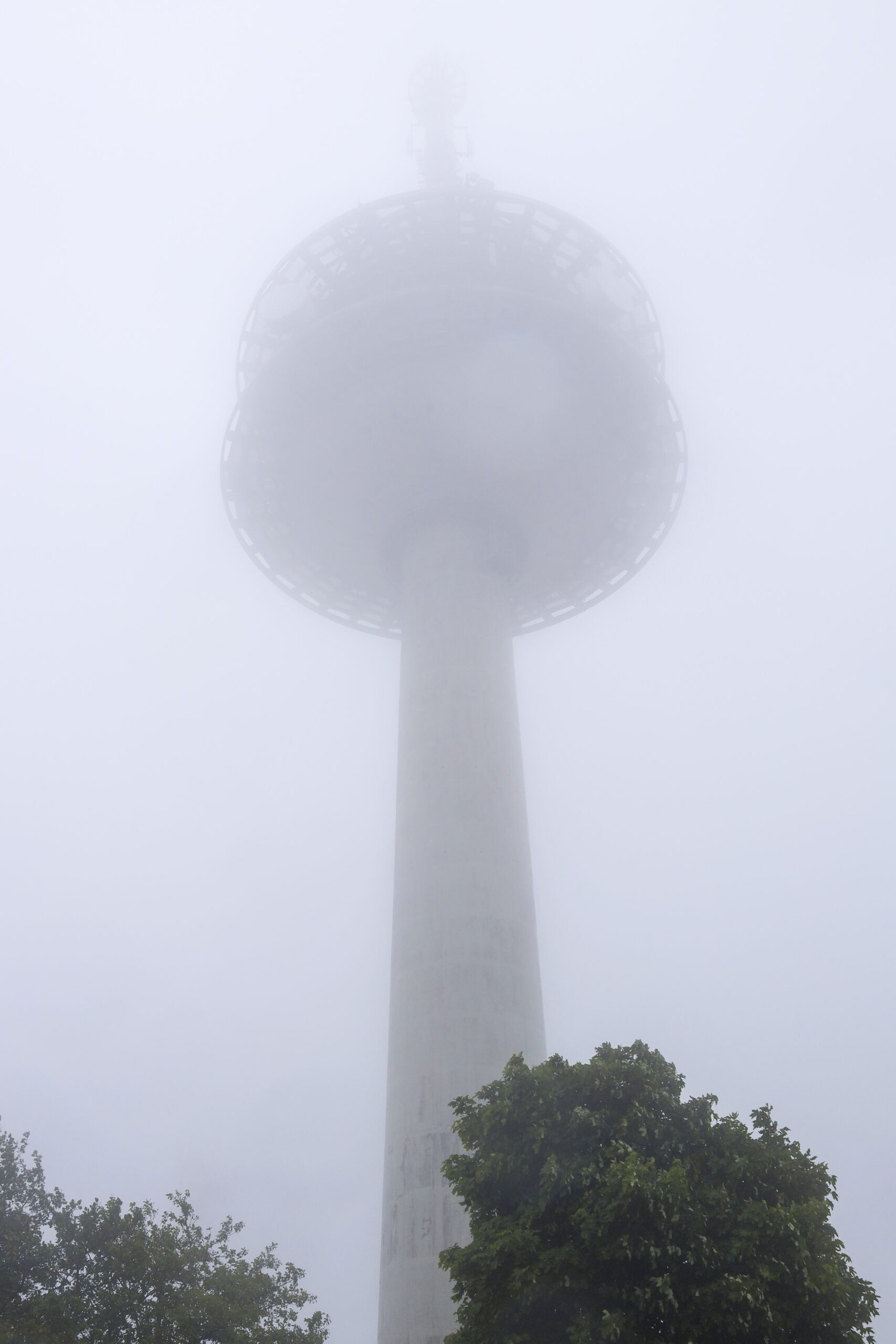 20250525_0755_www-ritterimages-com