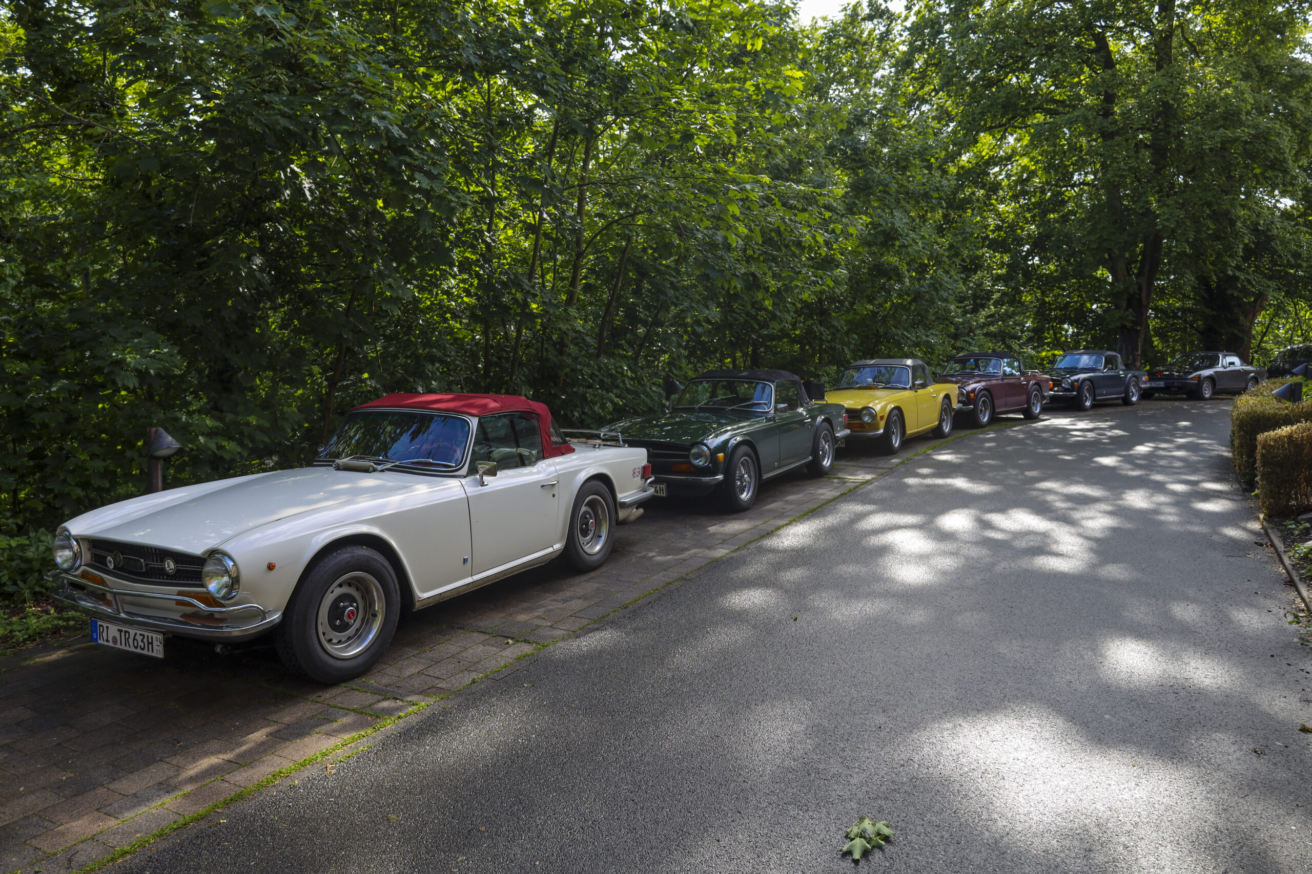 20250525_0802_www-ritterimages-com