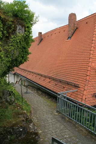 IMG_4759